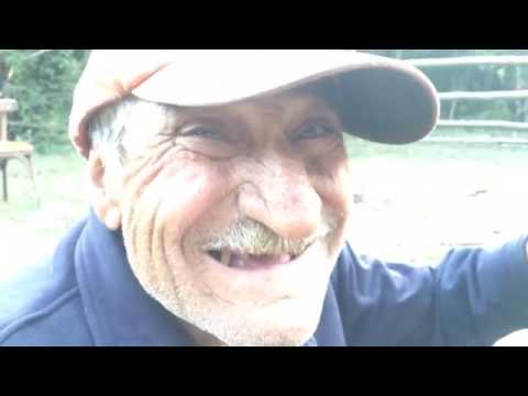 ნადირი მღერის