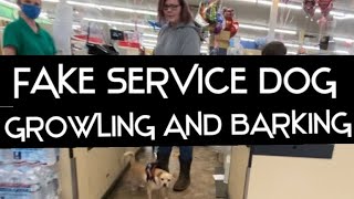 FAKE SERVICE DOG GROWLING AT MY SERVICE PUP IN TRAINING