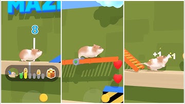 🐹 Hamster Maze with Traps 😱 - Gameplay Walkthrough Part 3 (iOS, Android)