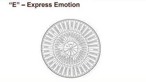 D E S C  Verbal Feedback Model