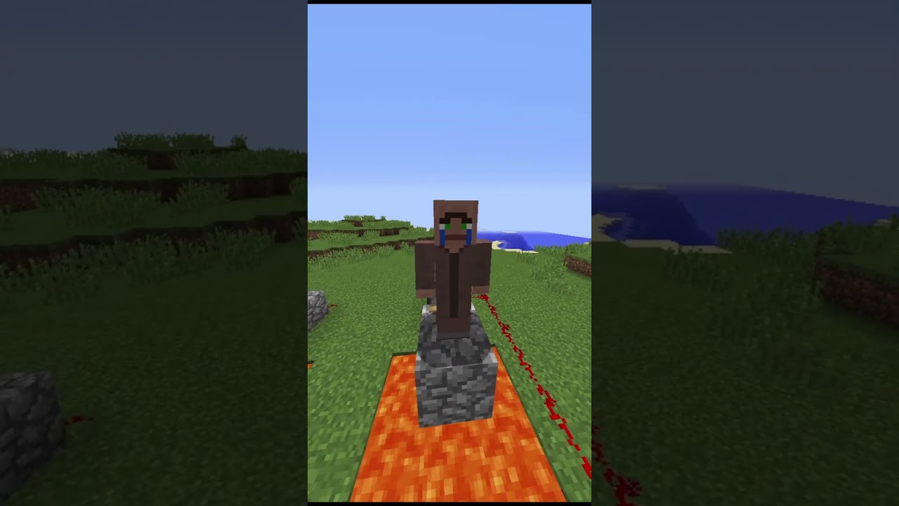 Lets scar this dog #minecraft #memes