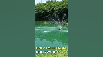 Welcome to Bear Cove Village - shorts