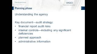 Overview of the financial audit process screenshot 1