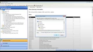 MP Studio Setup: How to populate the MP Studio store database