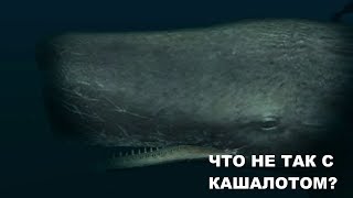 Кашалот, а ты точно с Земли?