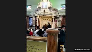 הקבלת פני רבו ברגל - סוכות תשפ"ב - להחזיר את הכנפיים החסרות של המלאכים - מהרב אברהם חפוטא שליט"א