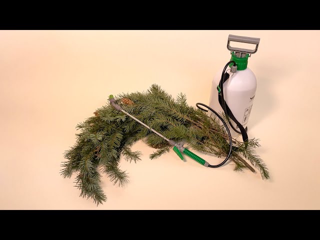 How to Preserve a Live Evergreen Branch With Needles