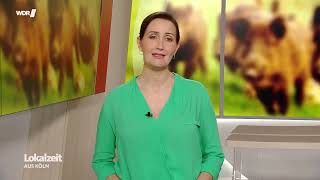 Wildpark Wiehl turns 60 - a TV report from June 2026