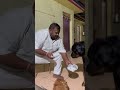 Dog feeding by sagar utwal foundation  sagarutwal samajseva dog