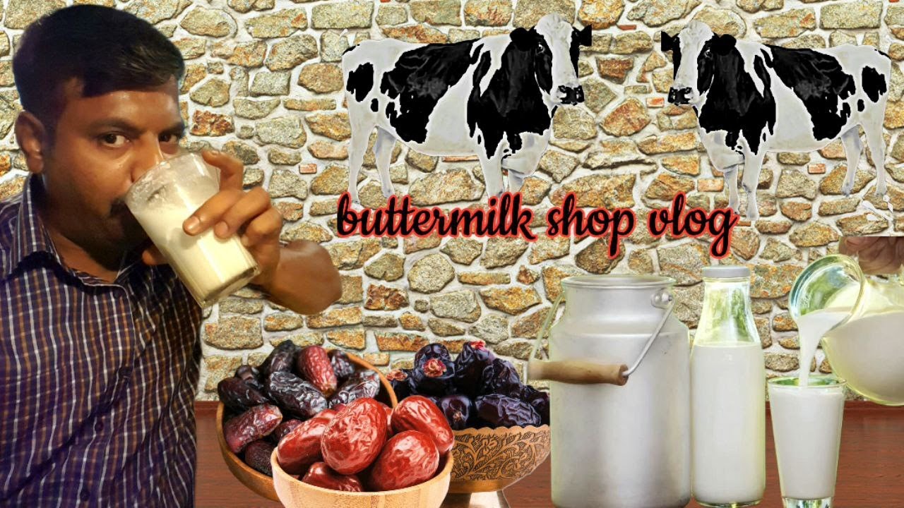 buttermilk cow goat camel /Fresh Buttermilk shop /பசு ஆடு ஒட்டகம் மோர்