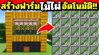 สอนสร้างฟาร์มไม้ไผ่อัตโนมัติ!! 🎋 Minecraft Bamboo Farm Auto 🎋