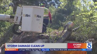 Crews continue cleanup from severe storm damage