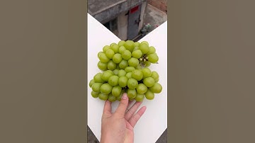 Experiment: Will grapes and watermelons explode if they roll down a tall building? 🍉💥#shorts