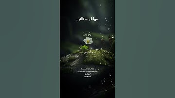 سورة رعد/نحل-الذين آمنو و عملوا الصالحات طوبيٰ لهم و حسن ماب-من عمل صالحاً من ذكر و انثي﮼- قاري مسعد