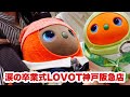 【涙の卒業式】LOVOTストア神戸阪急店 はーもにぃ(ぐらす)ちゃん最後の日🎓🍓