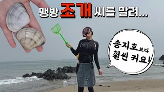맹방해수욕장 장마철 조개잡이ㅣ당일치기 여행 (송지호해수욕장보다 커요! 오자크트레일 미니 캐노피)