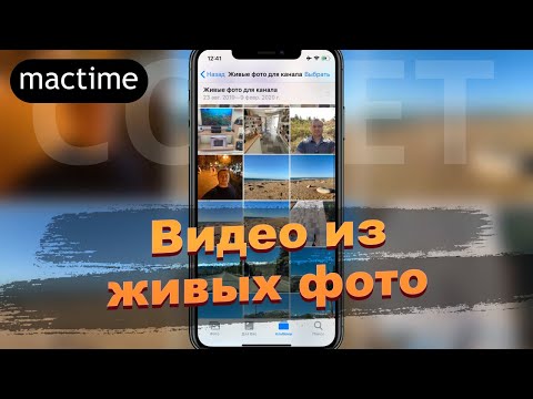 Как сделать видео из живых фото на iPhone