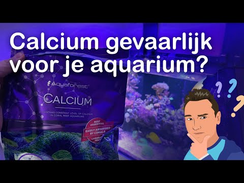 Video: Hoeveel kalsium is in tuisgemaakte amandelmelk?