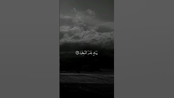 سورة الجاثية { ٢٦ ــ ٢٨ } #ياسر_الدوسري انشر تؤجر #قران