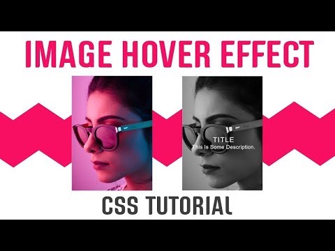 Black And White Filter With Captions On Hover Image CSS | CSS Image Hover Effects | CSS Tutorials  2