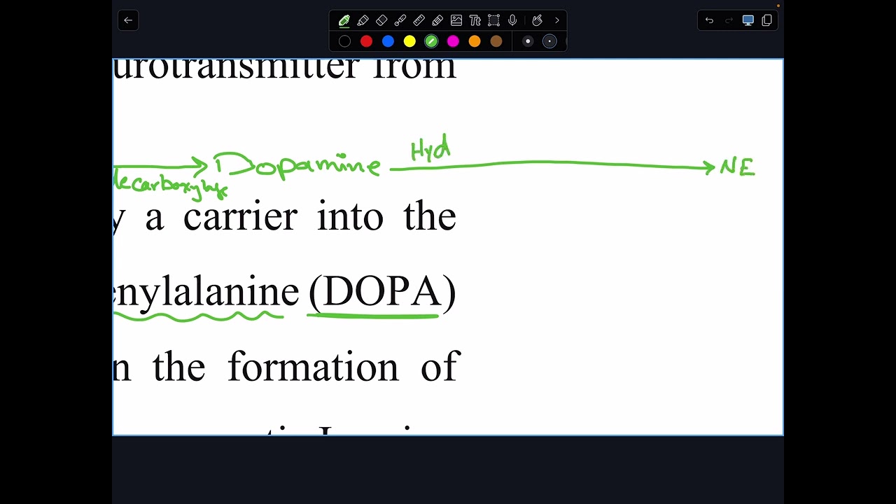 Adrenergic Agonists Part I