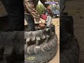 Power Scraper Cuts Heavy Loader Tires! Satisfying Industrial Tire Recycling Process