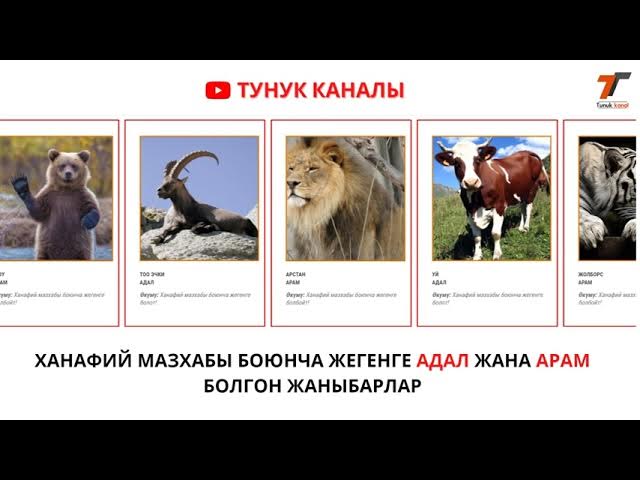 Тегіс киска порно видео