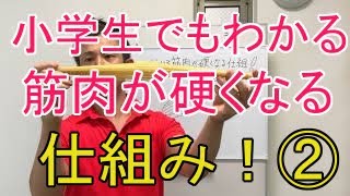 小学生でも分かる筋肉が硬くなる仕組み！その①