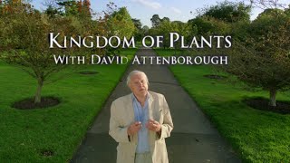 David Attenborough | Origin of Flowers | Water Lilies | Orchids | Kingdom of Plants Waterlily Time Lapse Sir David Attenborough