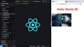 Adding Styles and Images in Create React App