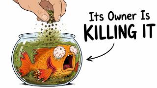 Why It Sucks To Be Born As a Goldfish