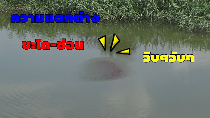 ความรู้เล็กๆ ครอกปลาชะโดแตกต่างกับครอกปลาช่อน....?