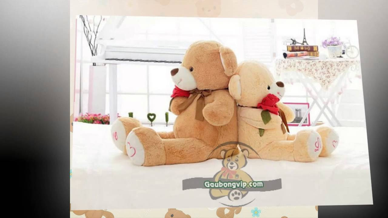 Gấu bông teddy ôm hoa hồng vô cùng dễ thương !! - youtube