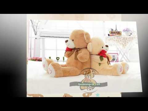 Video Gấu bông teddy ôm hoa hồng vô cùng dễ thương !! - youtube