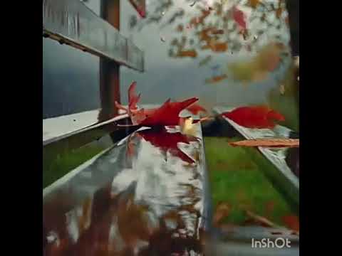 Wada Song Flute Ringtone