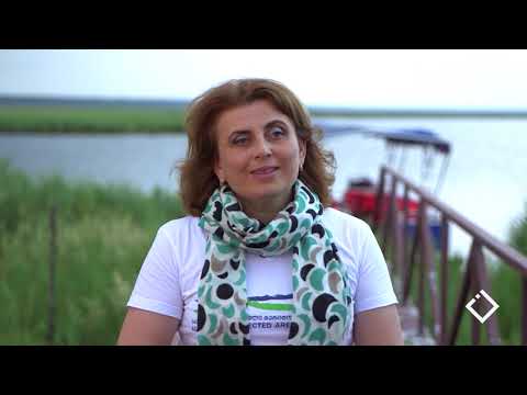 ბუნების კანონი-საგზურები ველურ ბუნებაში