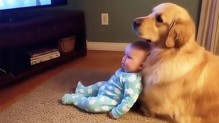 The Best Baby & Pet Compilation of 2025 - Funny Babies Video || COOL PEACHY🍑