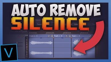 Vegas Pro tip : Cut out/Remove silence from video and audio