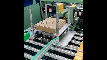 Fully automatic tray packing line,tray former,robot packer,box closer with tape sealer,box stacker