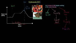 IB Sports, exercise and health science 2024: Cardiovascular drift