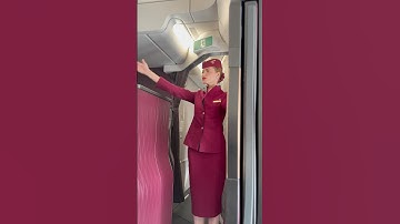 WHY DOES THIS FLIGHT ATTENDANT LOOK JUST LIKE ME 😳