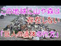【この地球に山や森は存在しない】京都・琵琶湖疎水　山の根源、石、巨木、巨人の痕跡