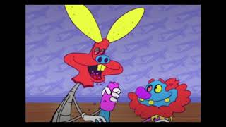 The Neighbors Cat Read The Description