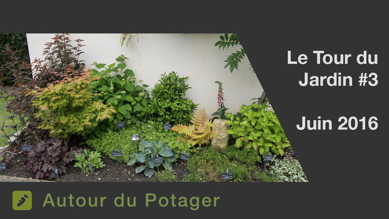 Le tour du jardin #3 - Juin 2016