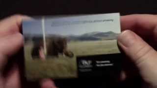 Texas Instruments DLP