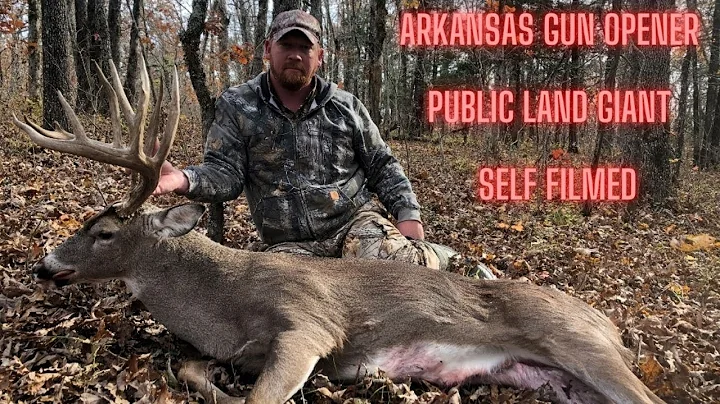 Big 12 Point Self Filmed - Arkansas Public Land - ...