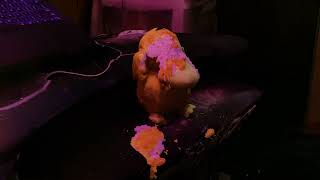 UV Texture On Simulation! ( Blender Molecular Add On )