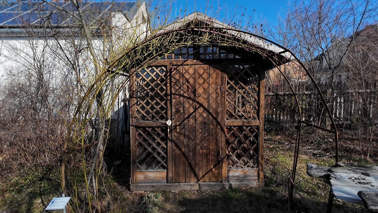 Liebeslaube und Spitzenkragen – Neues in der Schaustickerei