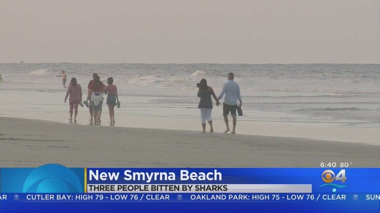 Three People Bitten By Sharks Off New Smyrna Beach Youtube