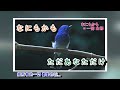 泣かせるぜ 石原裕次郎 字義版